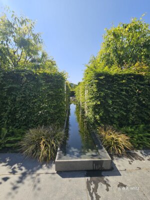 Foto des Albums: Berlin Gärten der Welt