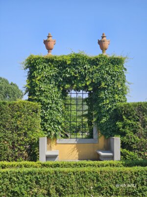 Foto des Albums: Berlin Gärten der Welt