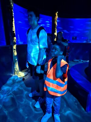 Foto des Albums: P5 P8 Sealife