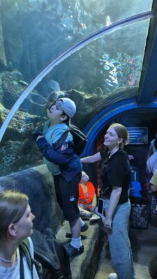 Foto des Albums: P5 P8 Sealife