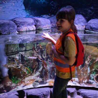 Foto des Albums: P5 P8 Sealife