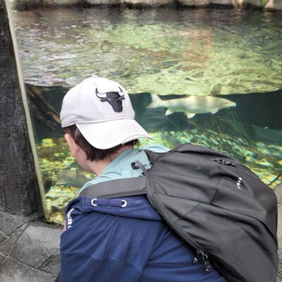 Foto des Albums: P5 P8 Sealife