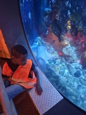 Foto des Albums: P5 P8 Sealife