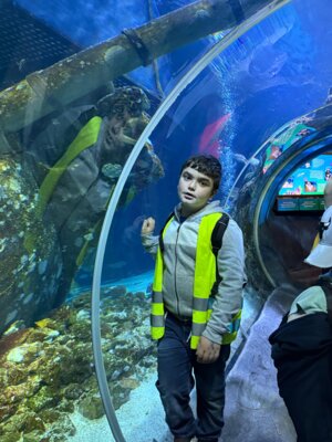 Foto des Albums: P5 P8 Sealife