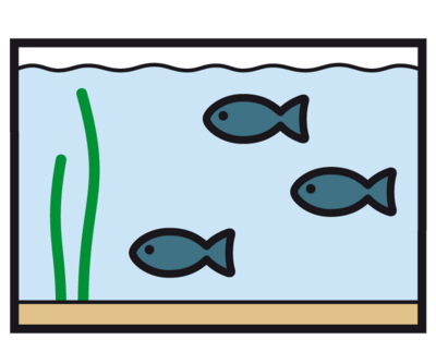 Foto des Albums: P5 P8 Sealife