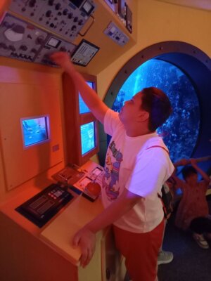 Foto des Albums: P5 P8 Sealife