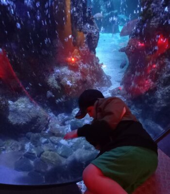 Foto des Albums: P5 P8 Sealife