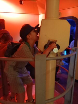 Foto des Albums: P5 P8 Sealife