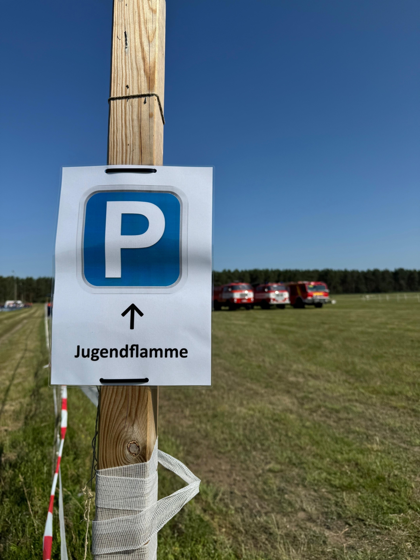 Bild: 1d4169cf-ed63-4bc7-8c78-45175130b3a2 0