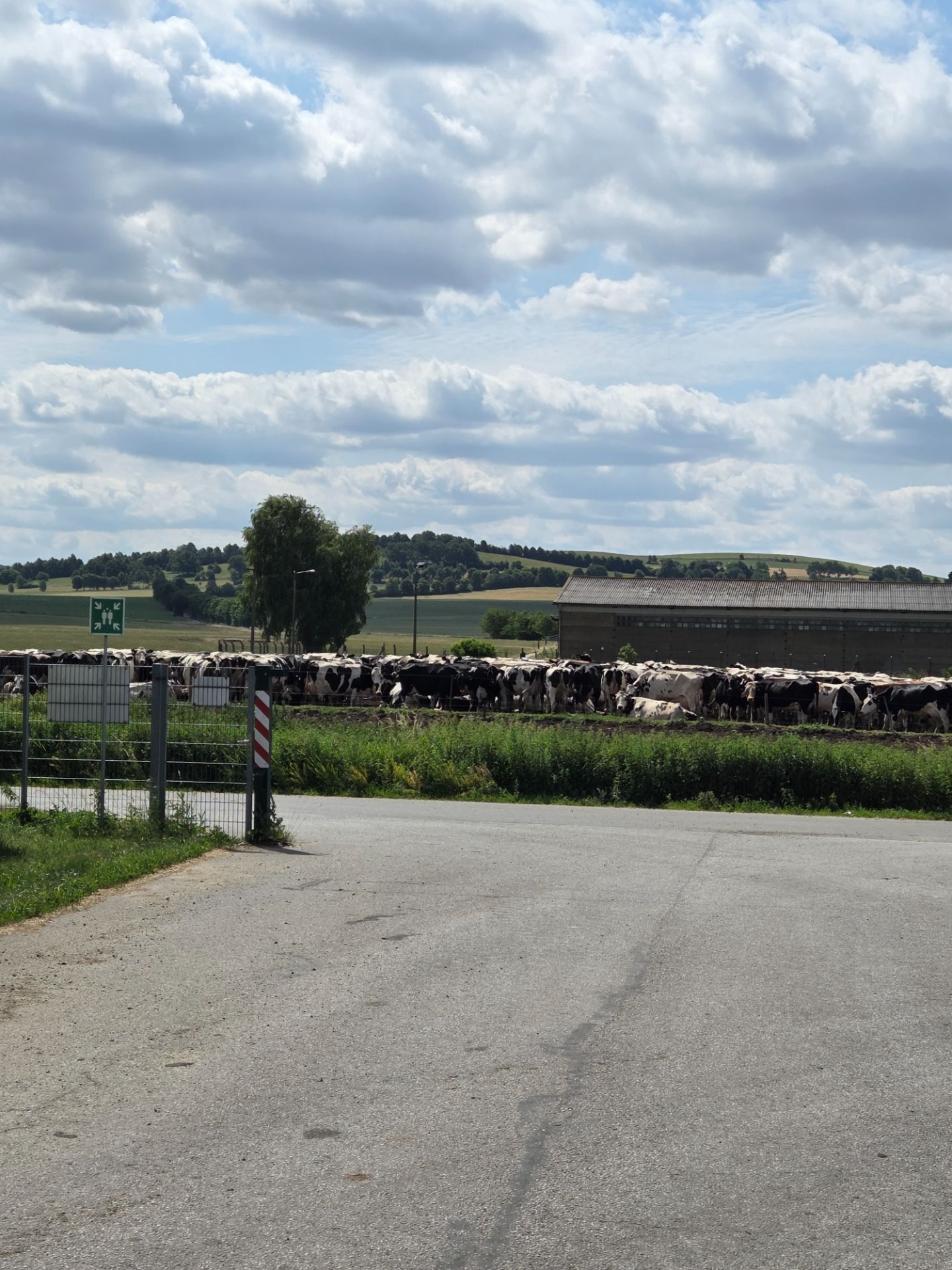 Bild: Landschaftspanorama