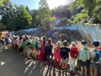 Foto des Albums: Zoobesuch