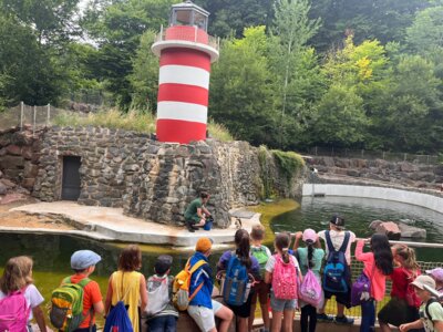 Foto des Albums: Zoobesuch