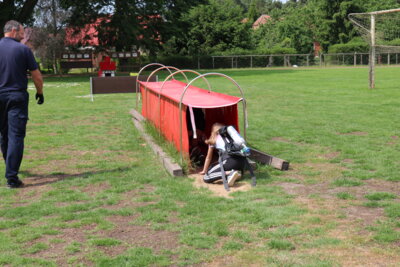Foto des Albums: Schule in Bewegung 2025