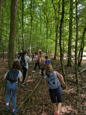 Foto des Albums: Schullandheimaufenthalt