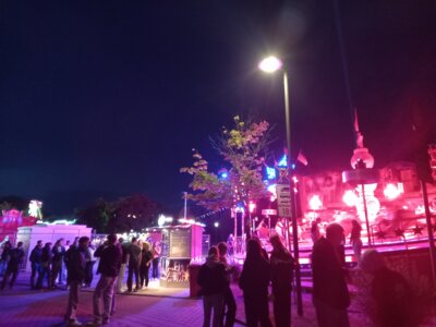 Fotoalbum Altstadtfest Tag 1