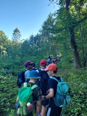 Foto des Albums: Wandertag zum Abenteuerspielplatz