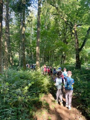Foto des Albums: Wandertag zum Abenteuerspielplatz