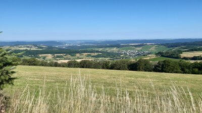 Foto des Albums: Wandertag zum Abenteuerspielplatz