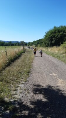 Foto des Albums: Wandertag zum Abenteuerspielplatz