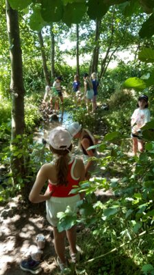 Foto des Albums: Wandertag zum Abenteuerspielplatz