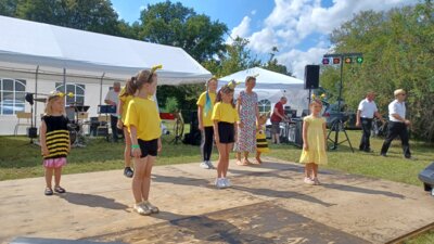 Foto des Albums: 27. Musiknachmittag 2024