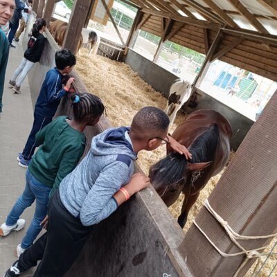 Foto des Albums: Klassenfahrt P1