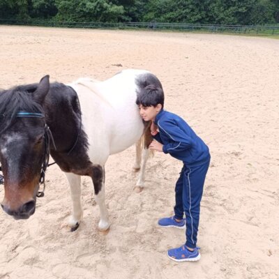 Foto des Albums: Klassenfahrt P1