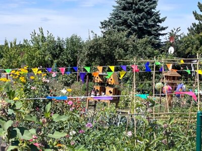 Foto des Albums: Gartenfest KGV 