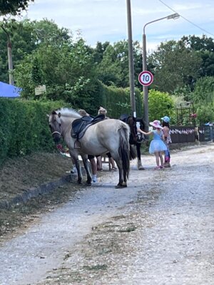 Foto des Albums: Gartenfest KGV 