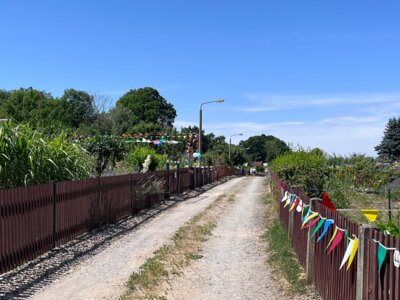 Foto des Albums: Gartenfest KGV 