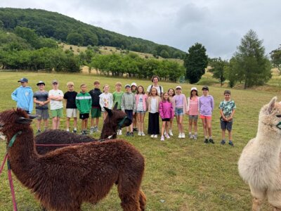 Foto des Albums: Schullandheimbesuch der 4. Klassen in Fischbach