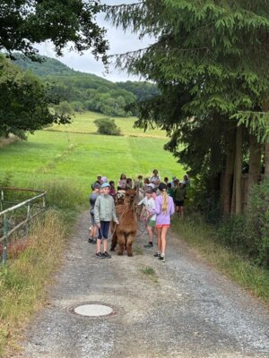 Foto des Albums: Schullandheimbesuch der 4. Klassen in Fischbach