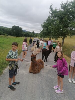 Foto des Albums: Schullandheimbesuch der 4. Klassen in Fischbach