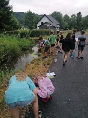 Foto des Albums: Schullandheimbesuch der 4. Klassen in Fischbach