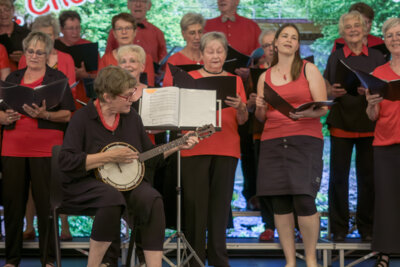Foto des Albums: 13. Chortreffen am Tharandter Wald