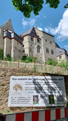 mit dem neuen Schlosswingert  (Bild vergr&ouml;&szlig;ern)