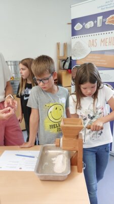 Foto des Albums: Die dritten Klassen unterwegs auf dem 