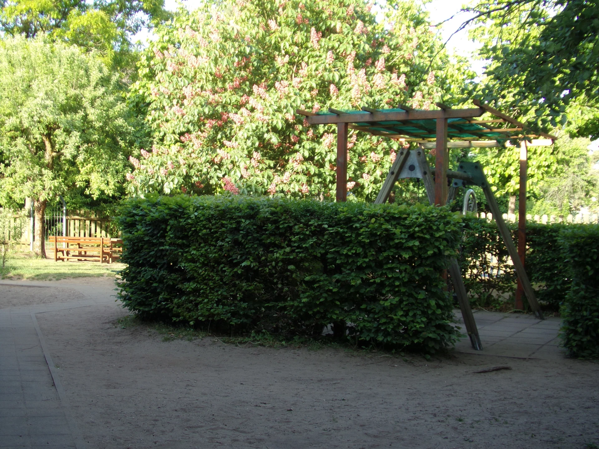 Bild: Kindergarten - Schaukel