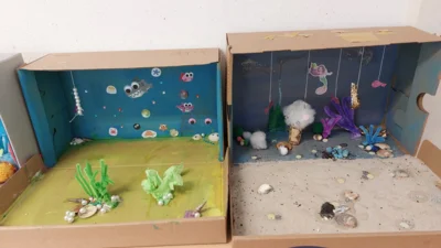 Foto des Albums: Unterwasserwelten