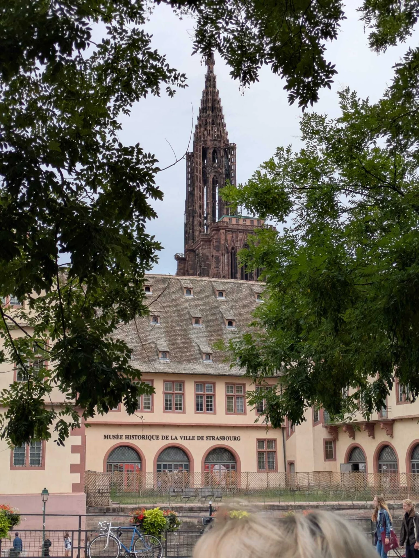 Bild der Galerie