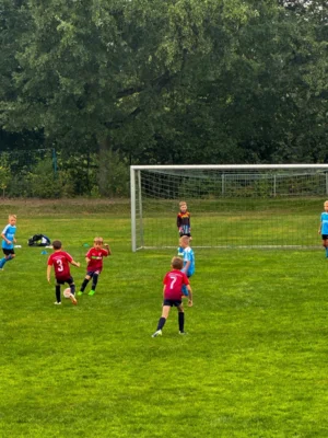 Foto des Albums: F-Junioren 1.Spieltag in Flöha