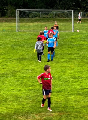Foto des Albums: F-Junioren 1.Spieltag in Flöha