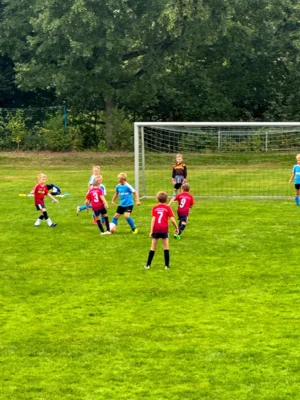 Foto des Albums: F-Junioren 1.Spieltag in Flöha