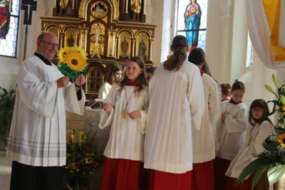 ko-kts-Sonnenblumen f&uuml;r Franz Srtigl  (Bild vergr&ouml;&szlig;ern)