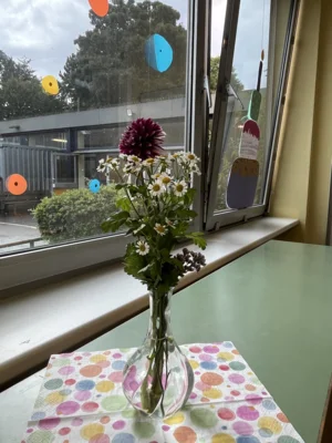 Foto des Albums: Schulfest - 50 Jahre erste Sahne_GEMISCHT