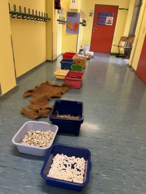 Foto des Albums: Schulfest - 50 Jahre erste Sahne_GEMISCHT