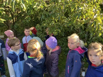 Foto des Albums: Leckerer Saft