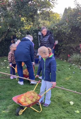 Foto des Albums: Leckerer Saft