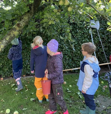 Foto des Albums: Leckerer Saft