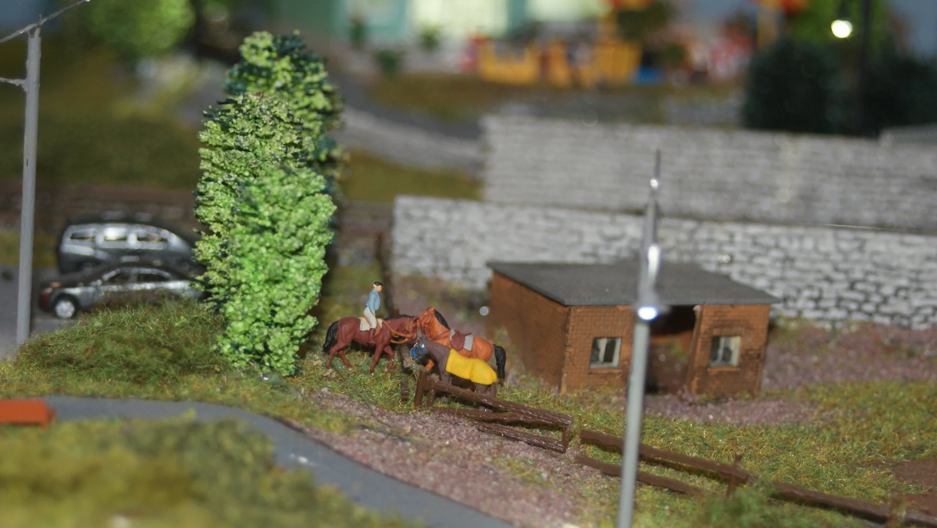 Bild: 003 Reiter im Vordergrund